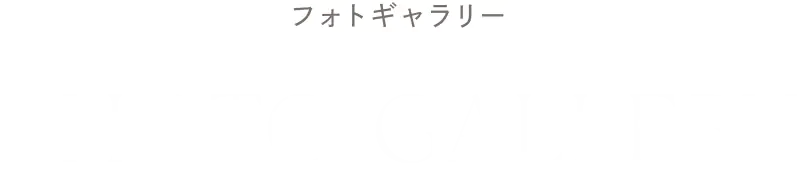 フォトギャラリー PHOTO GALLERY